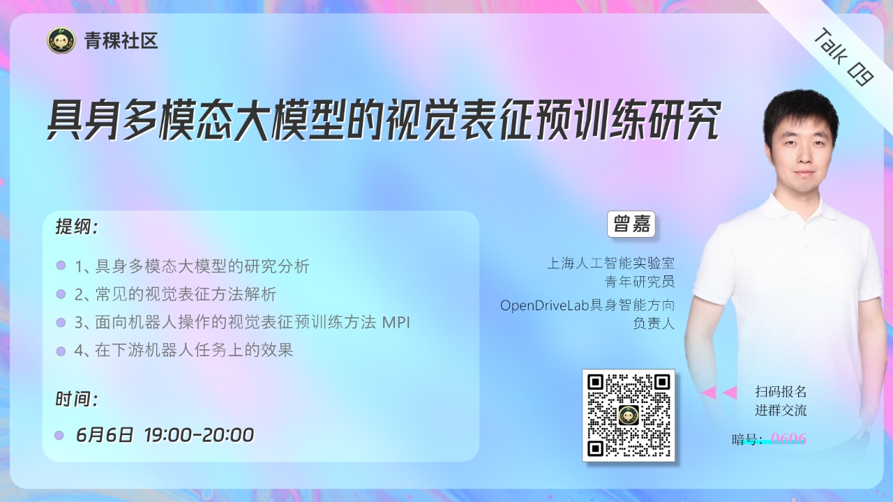具身多模态大模型的视觉表征预训练研究